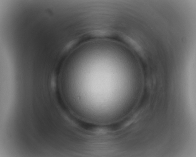 X0000114430115200910231241