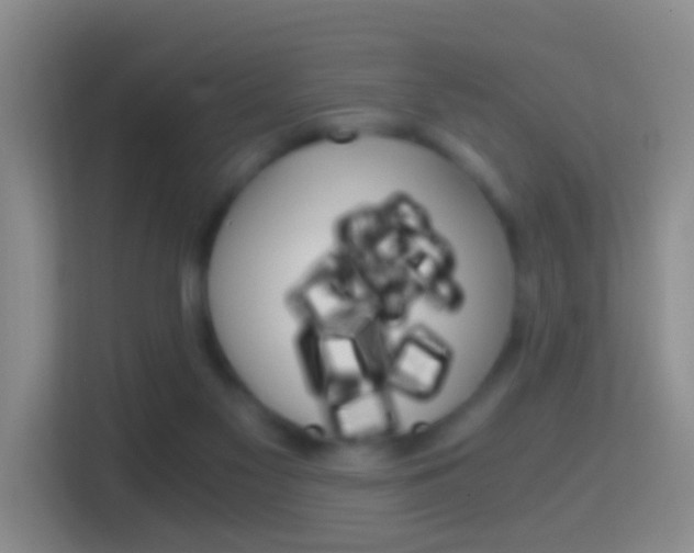 X0000114430117200910231241
