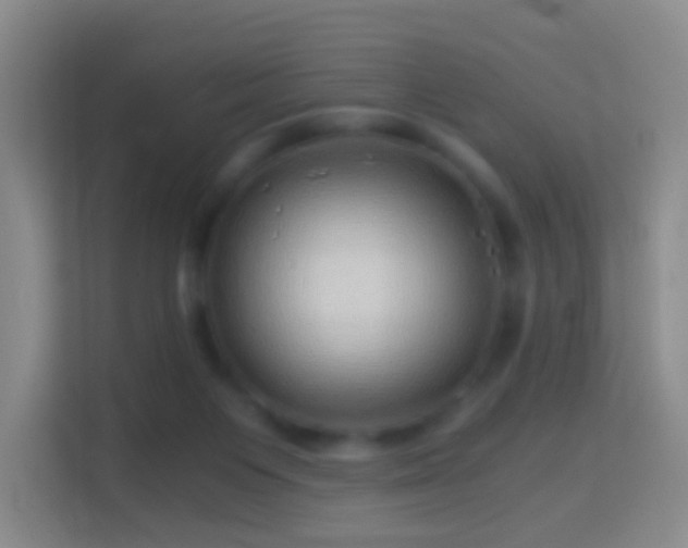 X0000114430119200910231241