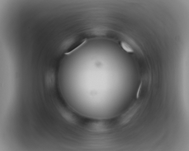 X0000114430120200910231241