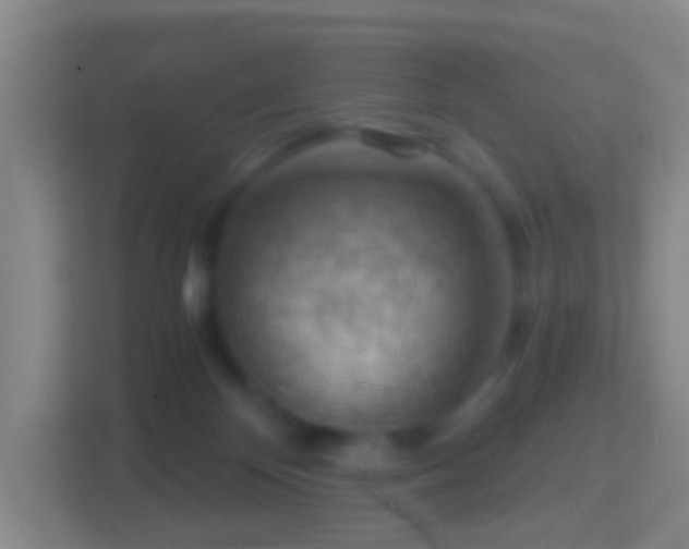 X0000114430124200910231241