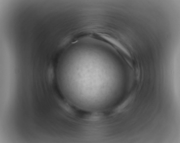 X0000114430128200910231241