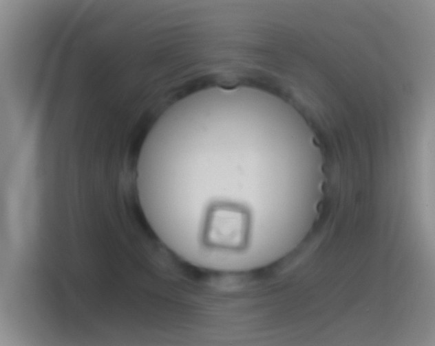 X0000114430129200910231241
