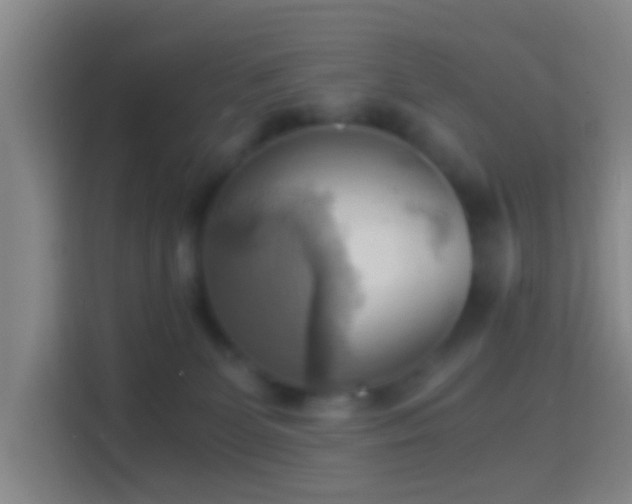 X0000114430131200910231241