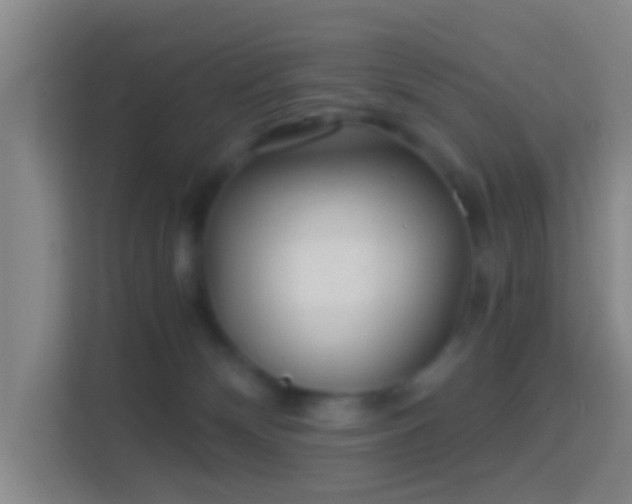 X0000114430132200910231241