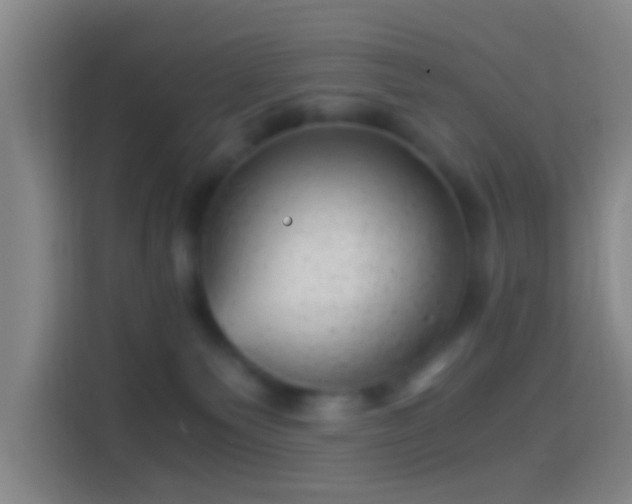 X0000114430135200910231241