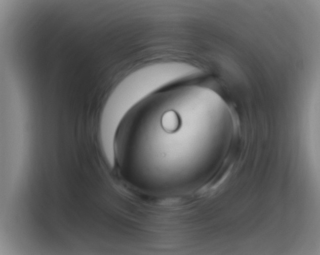 X0000114430136200910231241