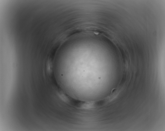 X0000114430138200910231241