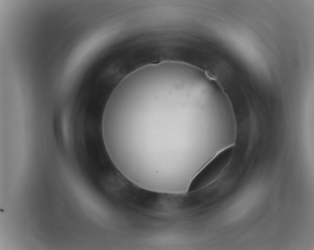 X0000114430140200910231241