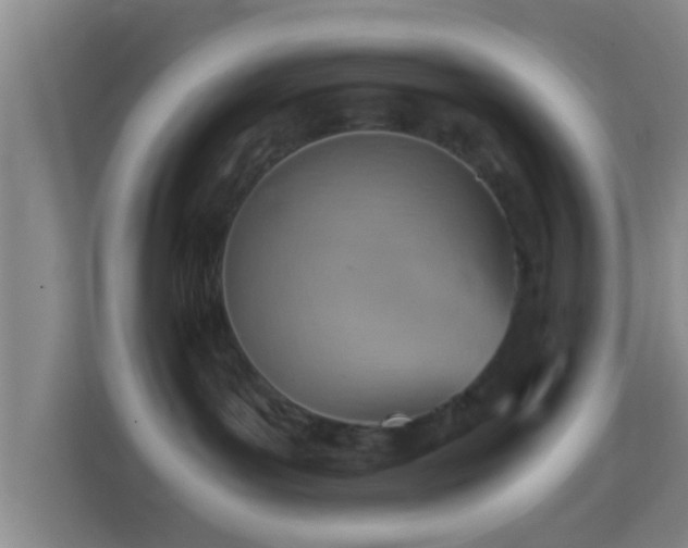 X0000114430143200910231241