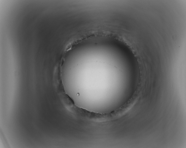 X0000114430144200910231241