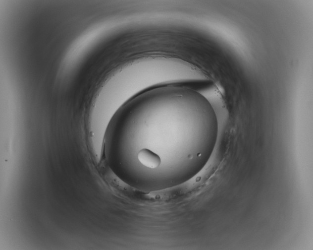 X0000114430146200910231240