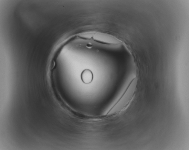 X0000114430150200910231240