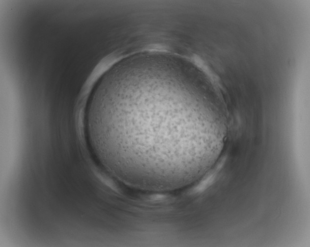 X0000114430151200910231240