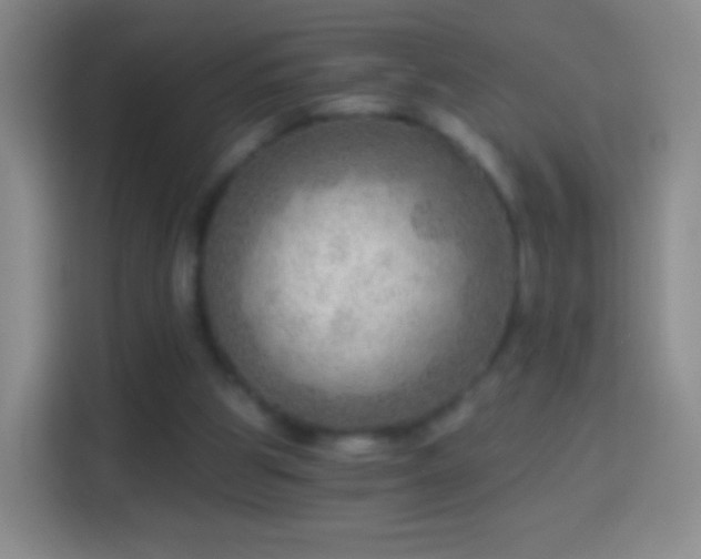 X0000114430153200910231240