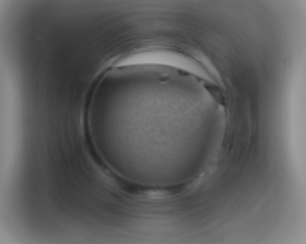 X0000114430154200910231240