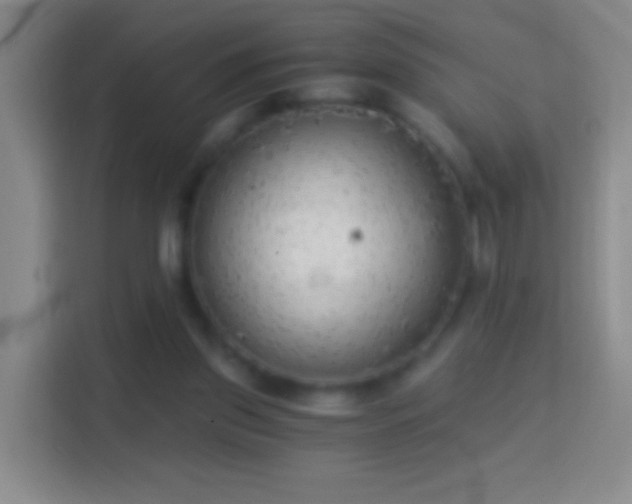 X0000114430157200910231241