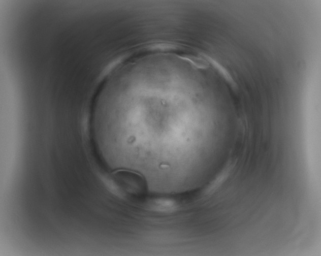 X0000114430159200910231241