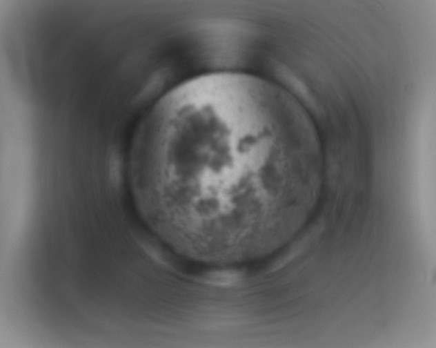 X0000114430161200910231241