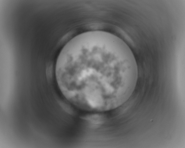X0000114430163200910231241