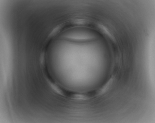 X0000114430167200910231241