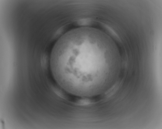 X0000114430171200910231241