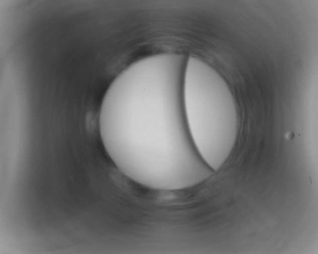 X0000114430177200910231241