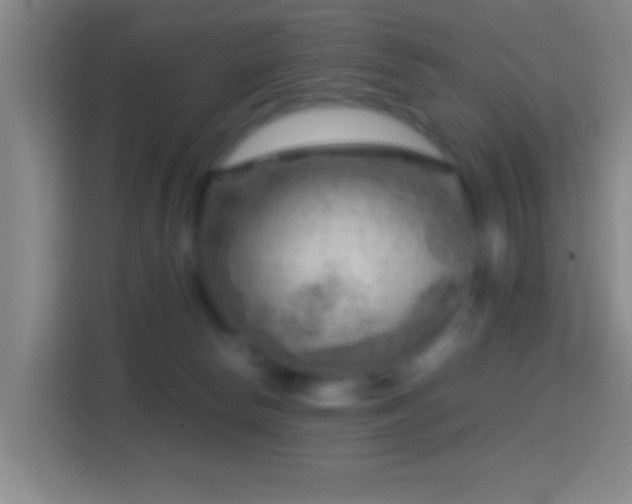 X0000114430178200910231241