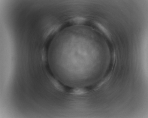 X0000114430181200910231241