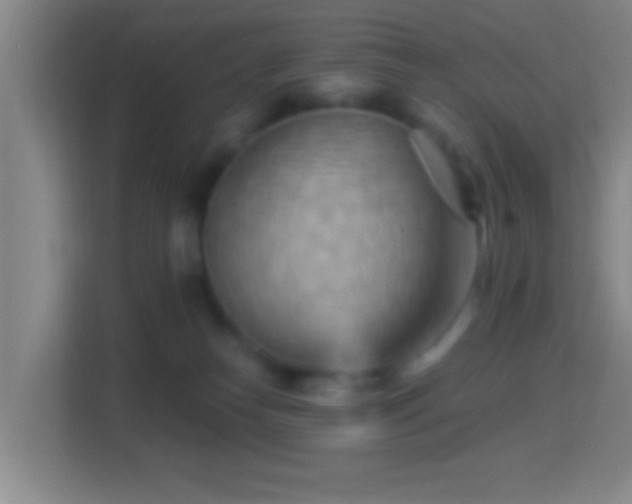 X0000114430182200910231241