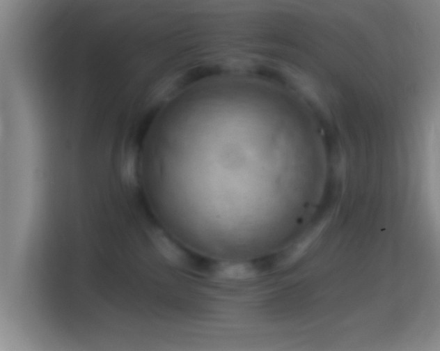 X0000114430185200910231241