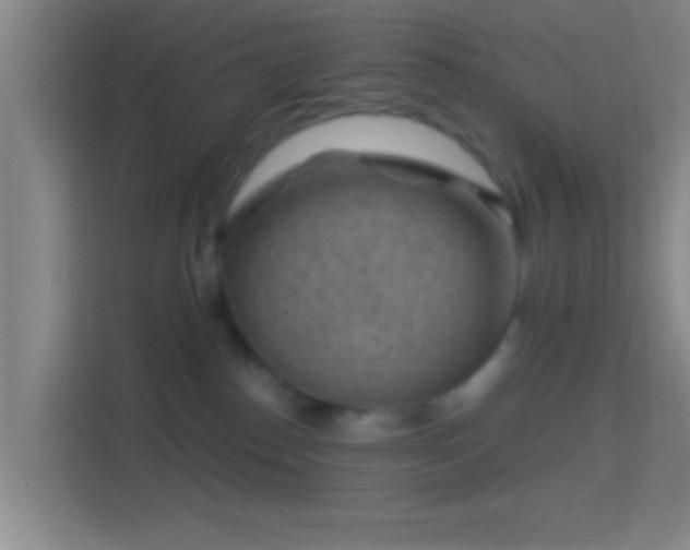 X0000114430186200910231241