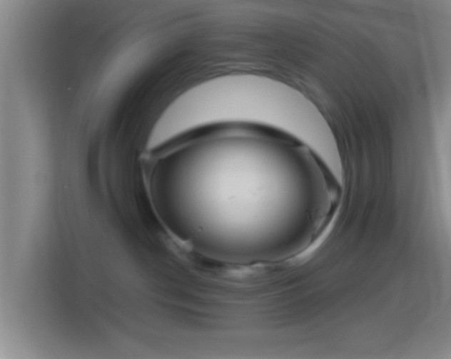 X0000114430190200910231241