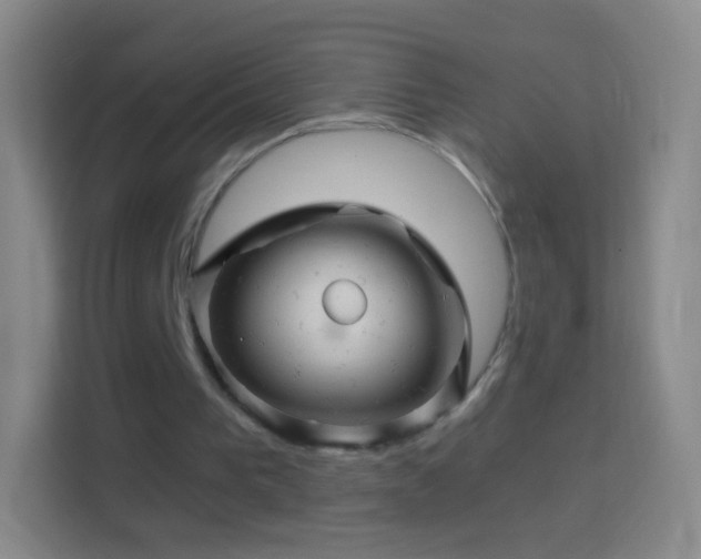 X0000114430193200910231240