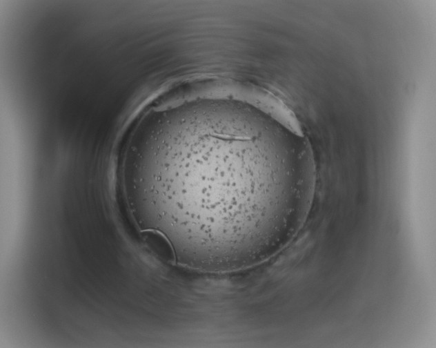 X0000114430194200910231240
