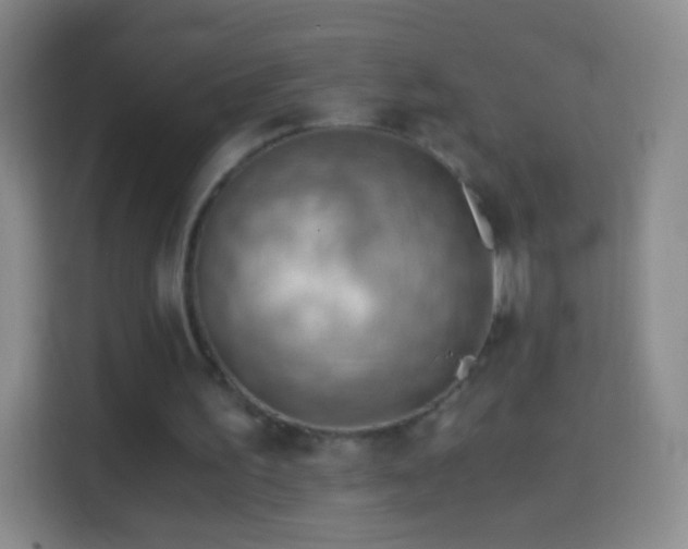 X0000114430195200910231240