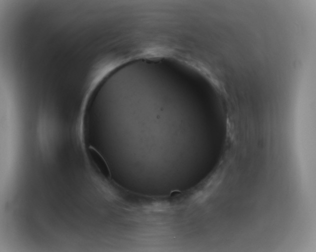 X0000114430196200910231240