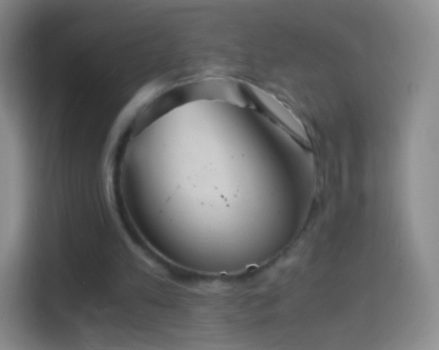 X0000114430197200910231240