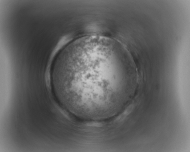 X0000114430198200910231240