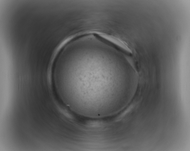 X0000114430200200910231240