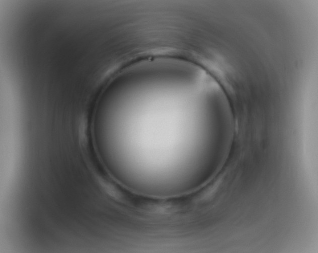X0000114430201200910231240