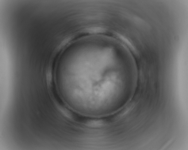 X0000114430202200910231240