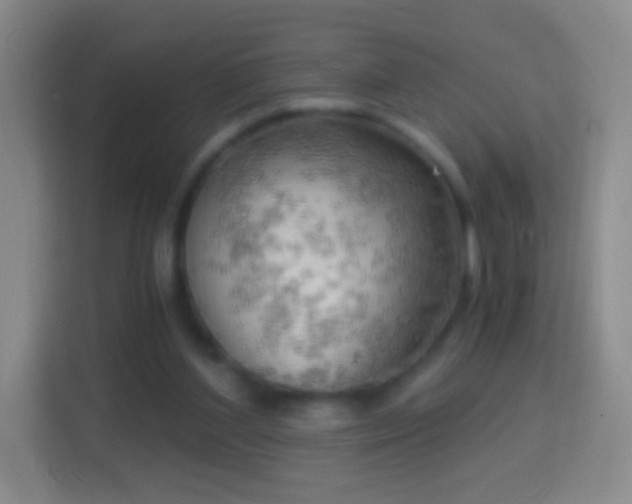 X0000114430204200910231240