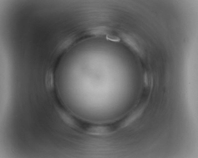 X0000114430205200910231240