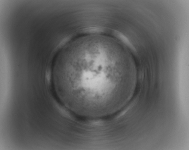 X0000114430206200910231240