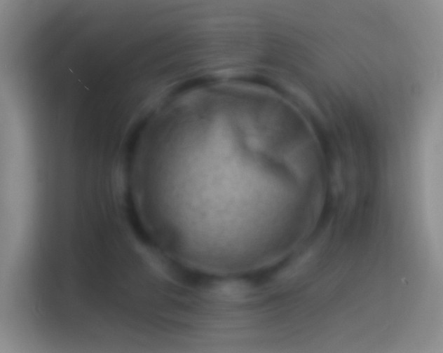 X0000114430210200910231240