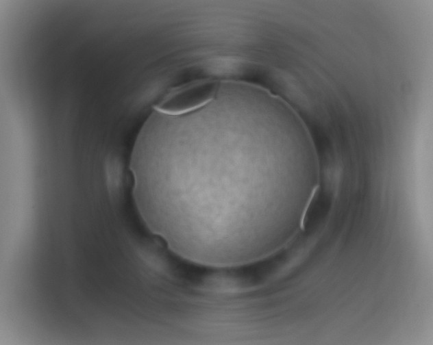 X0000114430211200910231240