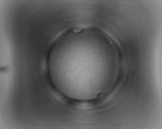 X0000114430212200910231240