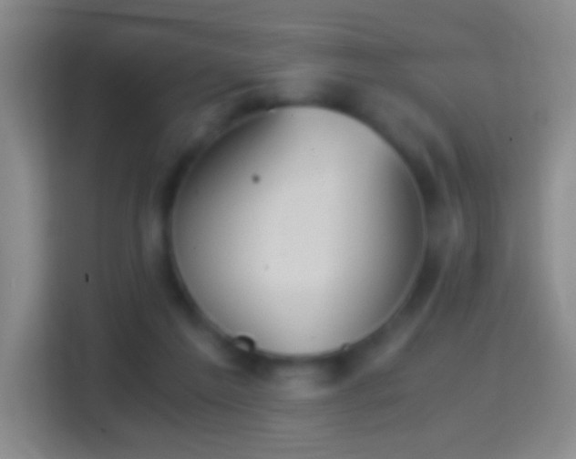 X0000114430213200910231240