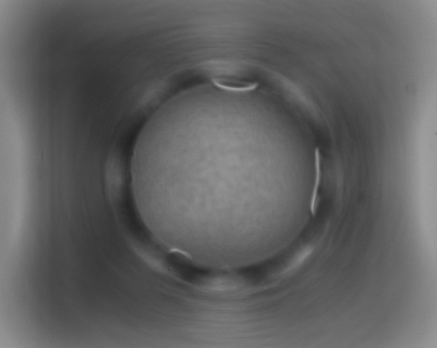 X0000114430215200910231240